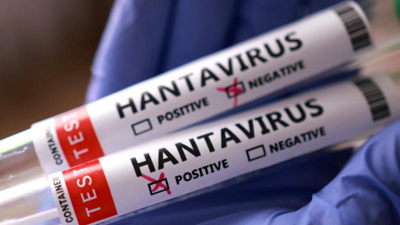 Sağlık Bakanlığı: Hantavirüs Şüphesiyle Getirilen Türk Vatandaşlarının Test Sonuçları Negatif